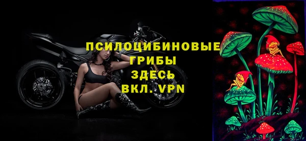 ECSTASY Алексеевка