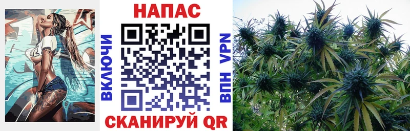 KRAKEN ONION  цена наркотик  Кореновск  МАРИХУАНА сатива 